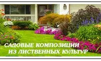 Садовая композиция в ландшафтном дизайне из лиственных культур