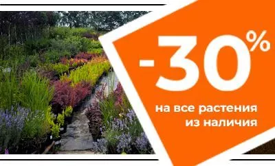 Скидка на все растения 30%: объявляем осеннюю акцию
