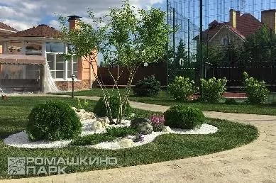 Шаровидные туи в ландшафтном дизайне
