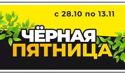 Грандиозная Черная пятница в «Ромашкино Парк»