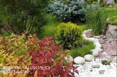 Ландшафтный дизайн загородного участка