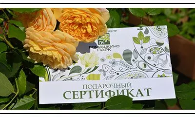 Итоги июньского розыгрыша подарочных сертификатов в ВКонтакте