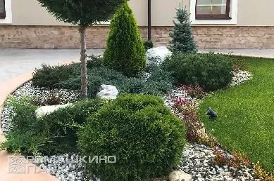 Хвойная ландшафтная композиция в каменной отсыпке
