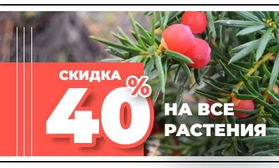 Скидка 40% на все растения до конца года