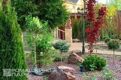 Хвойно-лиственная ландшафтная композиция