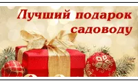 Идеи подарков на Новый год 2019: садоводы будут в восторге