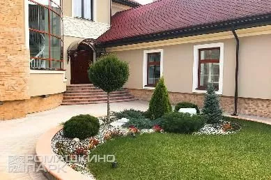 Туя на штамбе в ландшафтном дизайне