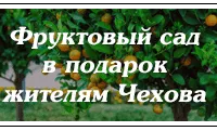 Фруктовый сад от СЦ "Ромашкино Парк" в подарок жителям Чехова