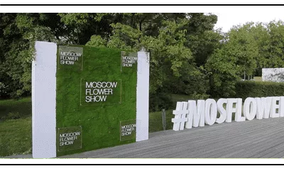 Растения от СЦ "Ромашкино парк" на VIII Международном фестивале Moscow Flower Show 2019 