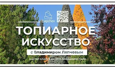 В Ромашкино Парк прошел мастер-класс с Владимиром Ляпчевым