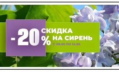 Весенняя акция: вся сирень со скидкой 20%