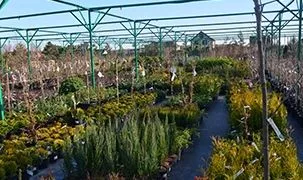 Садовый центр и интернет-магазин
