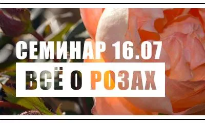 Приглашаем на семинар: всё о выращивании роз