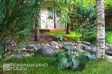 Хоста в ландшафтном дизайне