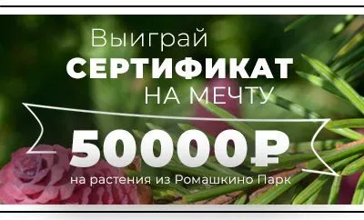 Выиграй сертификат на МЕЧТУ