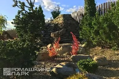 Барбарис в ландшафтном дизайне
