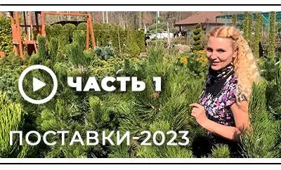 О поставках - 2023 на видео: часть 1