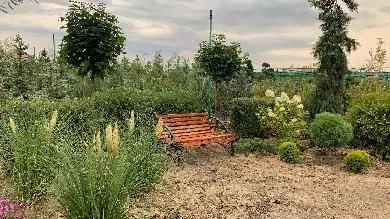 Благоустройство территории садового центра