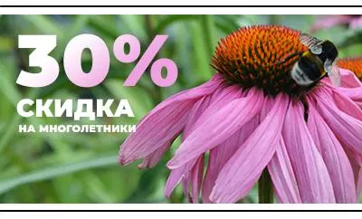 Скидка -30% на все многолетники