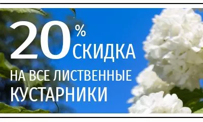 Время украшать сад! Скидка 20% на лиственные кустарники