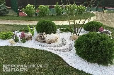 Хвойно-лиственная композиция в каменной отсыпке