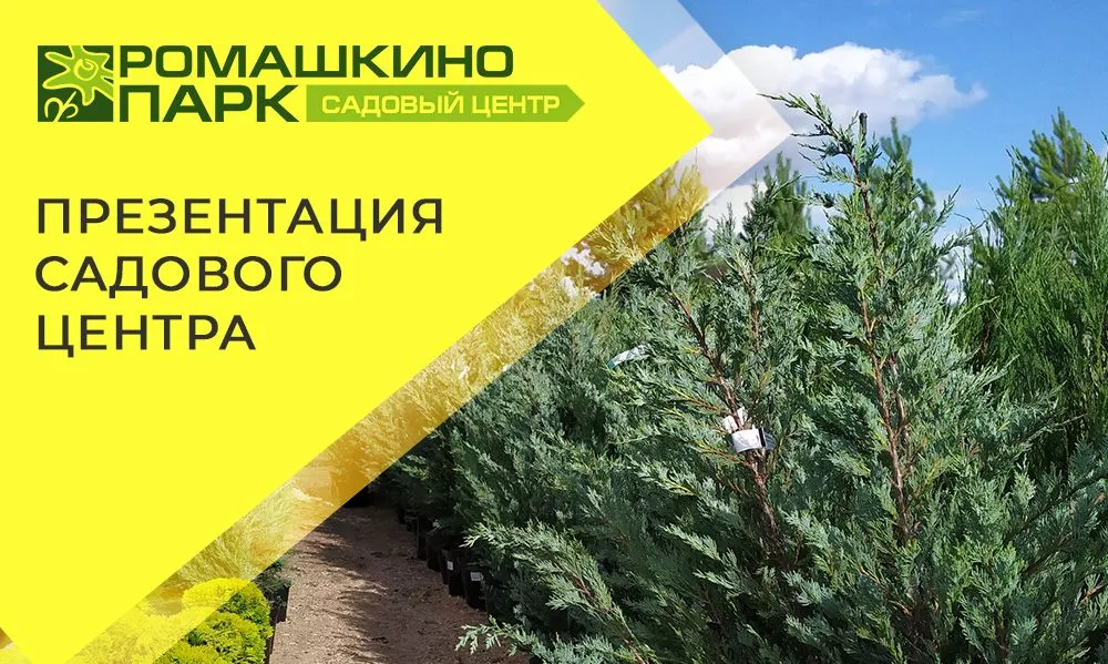 О работе садового центра: товары и услуги
