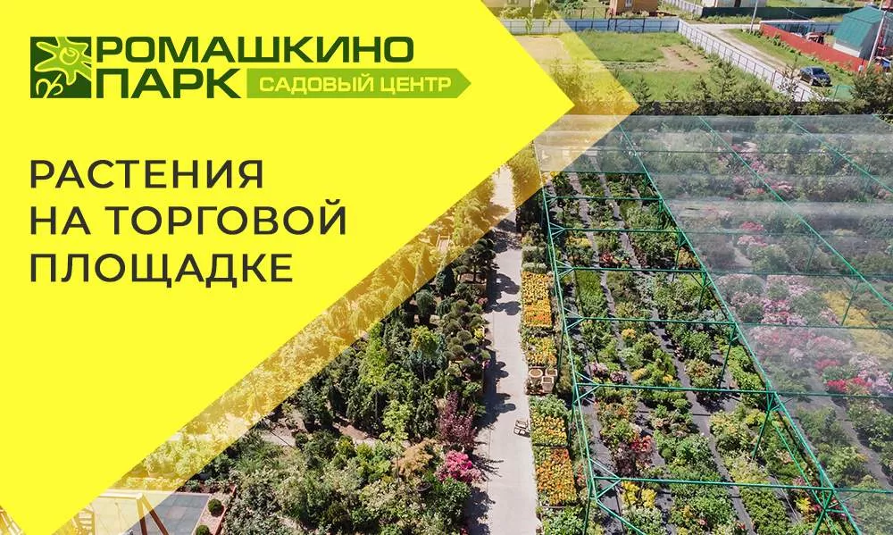 Презентационный ролик