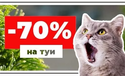 Скидки на туи "Smaragd" и "Brabant" до конца марта