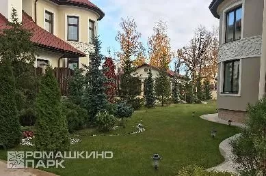 Хвойная композиция во дворе у забора