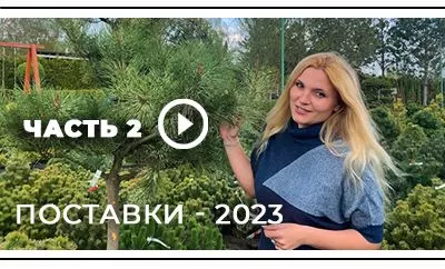 О поставках - 2023 на видео: часть 2