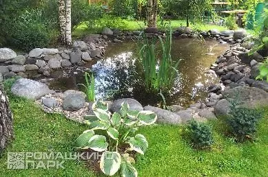 Композиция у водоема