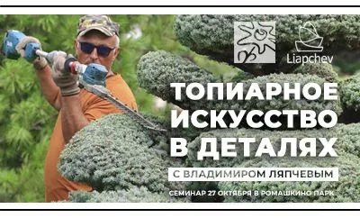 Гуру топиарной стрижки Владимир Ляпчев проведет обучающий семинар в Ромашкино Парк