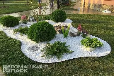 Можжевельник горизонтальный в ландшафтном дизайне