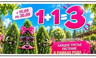 РОМАШКИНО ПАРК — 12 ЛЕТ. Празднуем вместе!