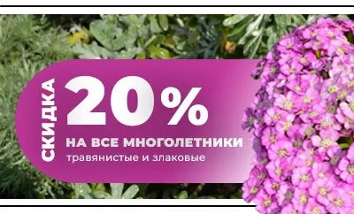 Скидка 20% на многолетники