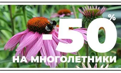 СКИДКА 50% НА МНОГОЛЕТНИКИ ДО КОНЦА ОКТЯБРЯ