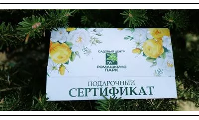 Розыгрыши сертификатов на покупку растений в наших социальных сетях