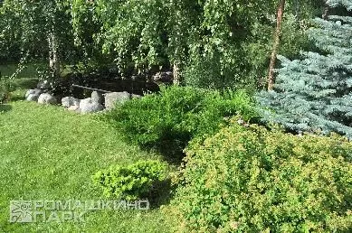 Хвойно-лиственная композиция