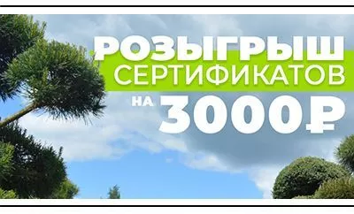 Розыгрыш подарочных сертификатов на 3000₽