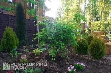 Ландшафтная композиция из лиственных хвойных и многолетников