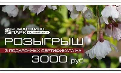 Подарим 3 сертификата номиналом 3000₽