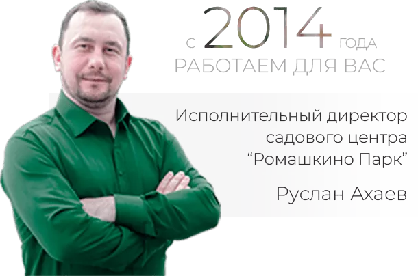 director