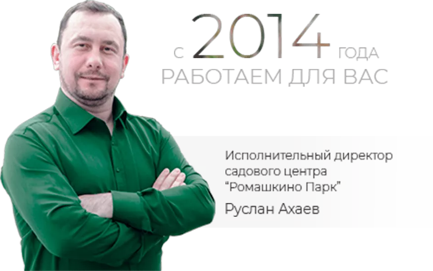 director