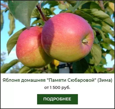 Памяти Сюбаровой Памяти Сюбаровой