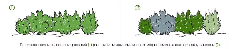 Тон в ландшафтном дизайне