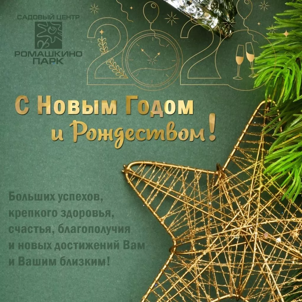 s-novim-godom