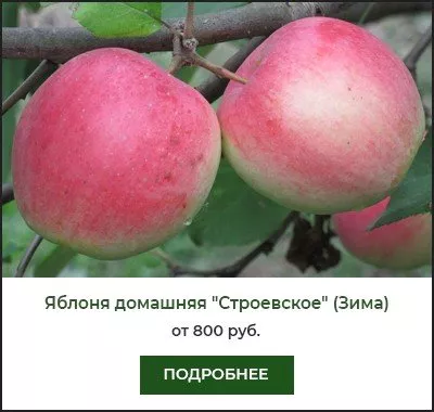 Строевское Строевское