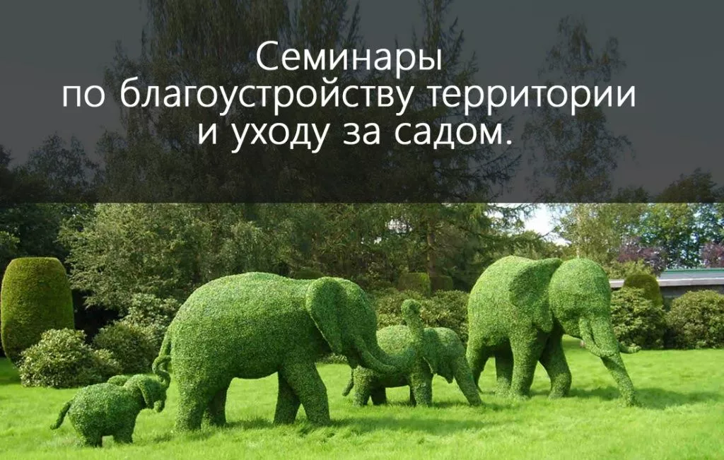Семинары