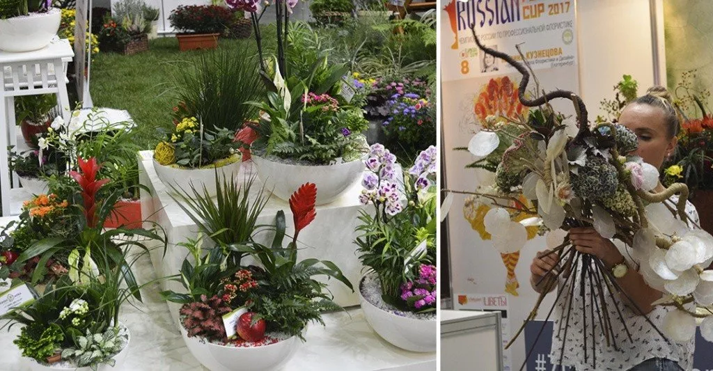 FlowersExpo 