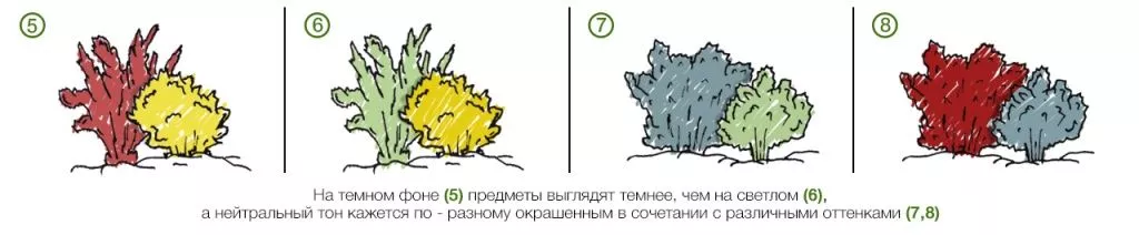 Фон в ландшафтном дизайне Фон в ландшафтном дизайне
